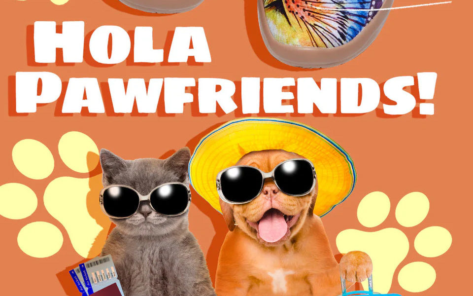 <transcy>Amiamo gli animali</transcy>