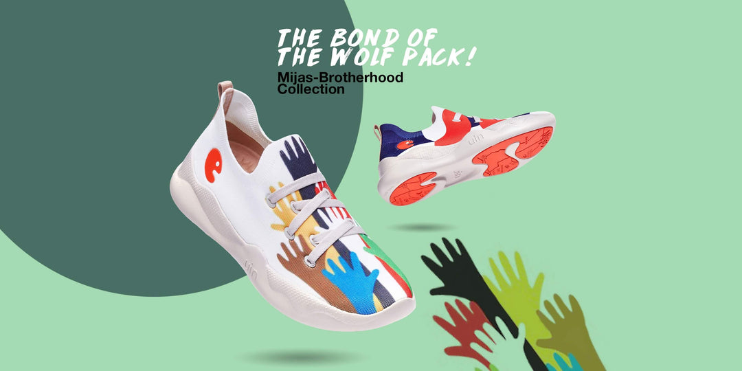 Brotherhood Collection