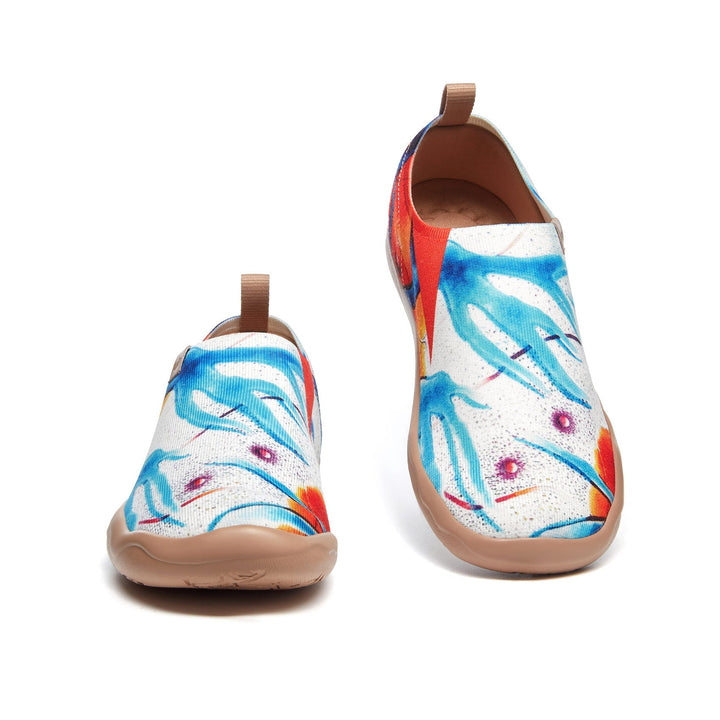 Zoltan. Purity 1 Toledo A1 Men