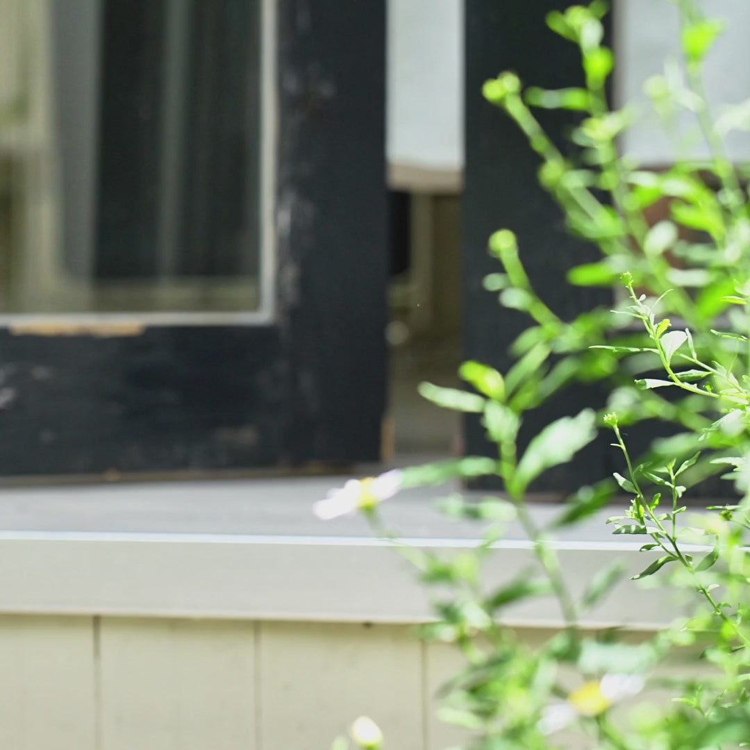 Rich Blooms Toledo I Women